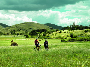 country