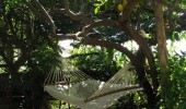 Garden2