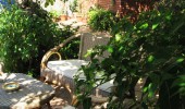 Terrace2