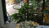 Terrace3