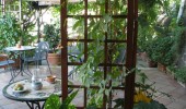 Terrace4