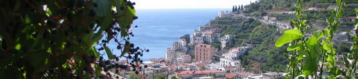 Villa above Minori Amalfi Coast #508