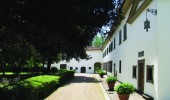 Luxury Villa Chianti
