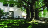 Luxury Villa Chianti