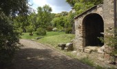 The Park