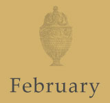 februarylight.jpg