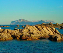 sardinia