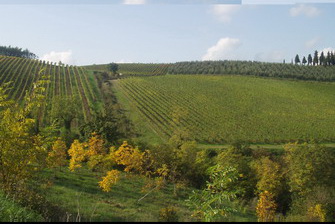 valpolicella